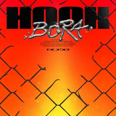 HOOK