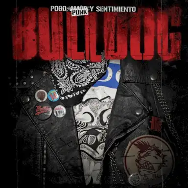 Pogo, Punk Y Sentimiento