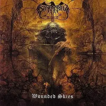 Wounded Skies