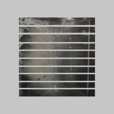 Topographies