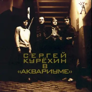 Сергей Курёхин в «Аквариуме»