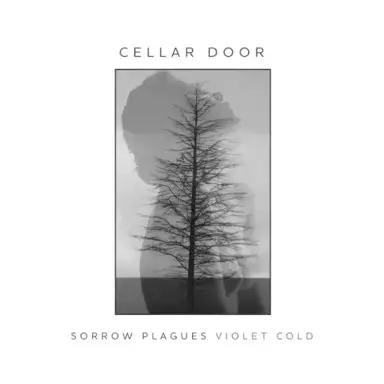 Cellar Door
