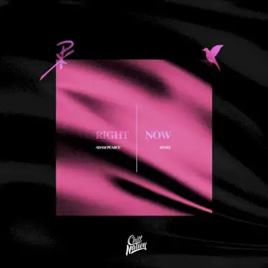 Right Now (Adam Pearce remix)