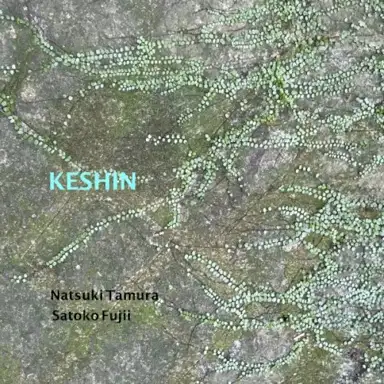 Keshin