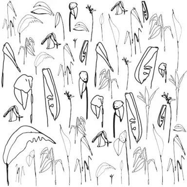 Sketches, Outtakes & Rarities Volume 1 & 2
