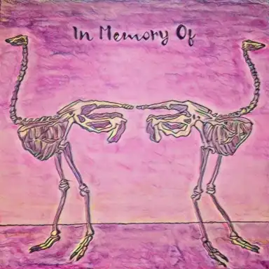 In Memory Of