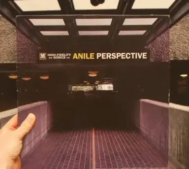 Perspective