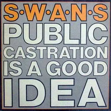 Public Castration Is a Good Idea