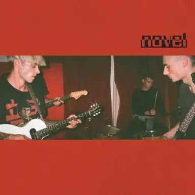 NOVEL