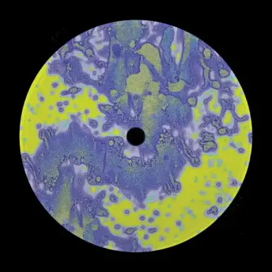 Thyme Capsules EP