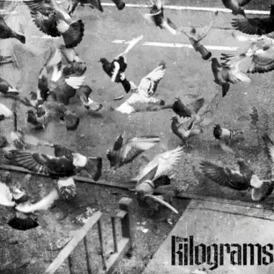 the kilograms