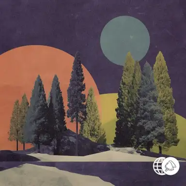 Snowy Forest