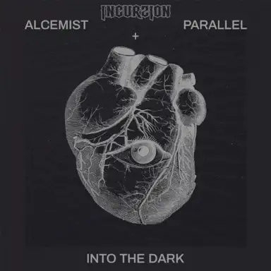 Into the Dark
