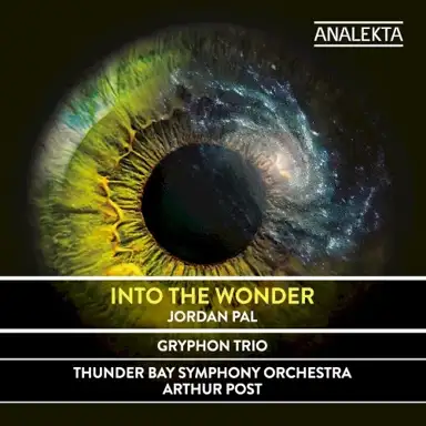 Into the Wonder