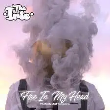 Fire In My Head