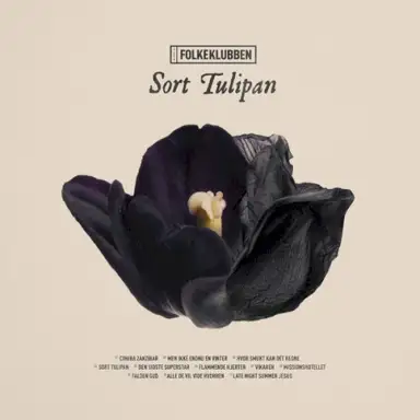 Sort Tulipan