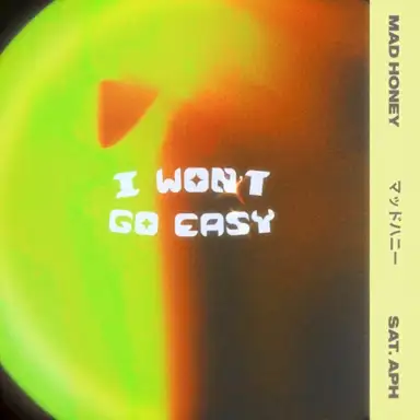 I Won't Go Easy