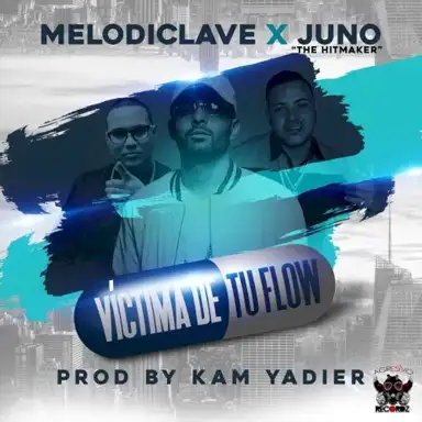 Víctima de tu flow