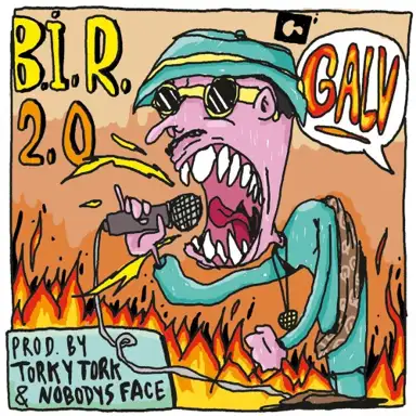 B.i.r. 2.0