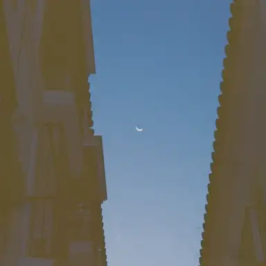 that all you see is