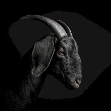 Sacrifice EP