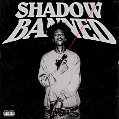 Shadowbanned