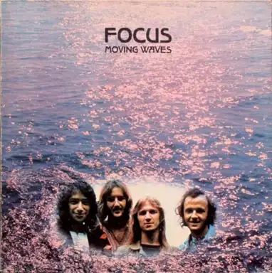 Focus 8
