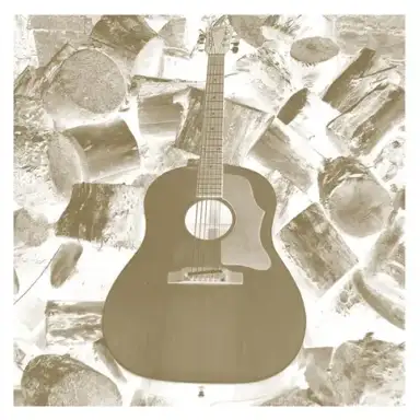 VDSQ Solo Acoustic Vol. 11