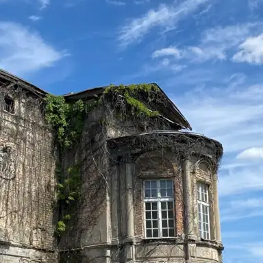 Aus dem Beton