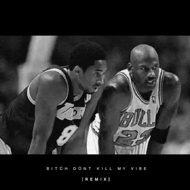 Bitch, Don’t Kill My Vibe (remix)