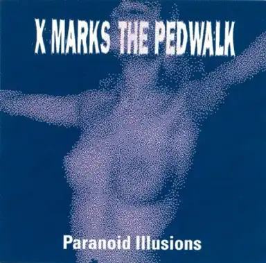 Paranoid Illusions