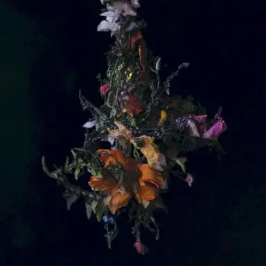 nature morte