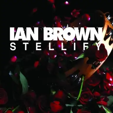 Stellify