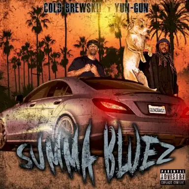 Summa Bluez