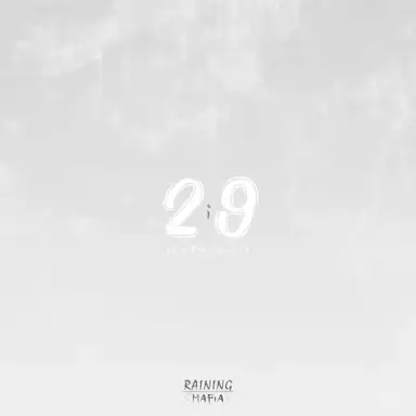 2i9