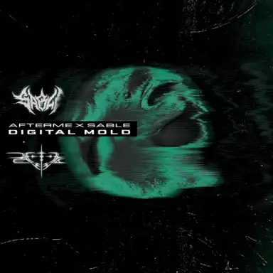 Digital Mold
