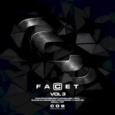 FaCet, Vol.3