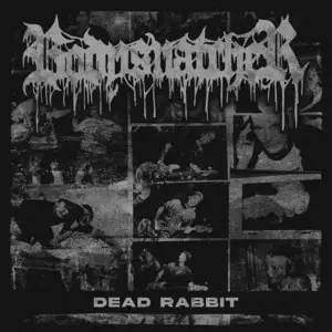 Dead Rabbit