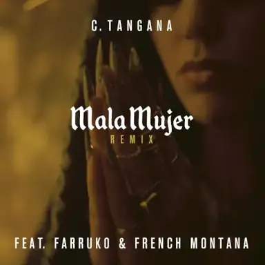 Mala mujer (remix)