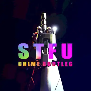 STFU (Chime Bootleg)