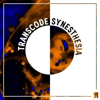 Synesthesia