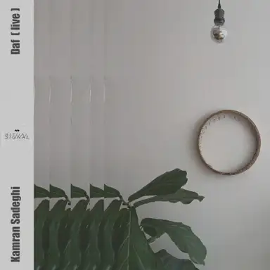 Daf ( live )