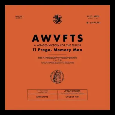 Ti Prego, Memory Man