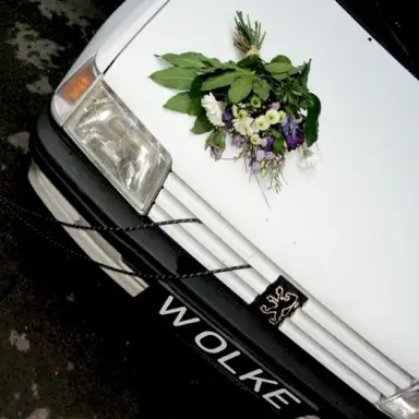 WOLKE