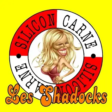Silicon Carne