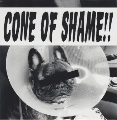 Cone of Shame
