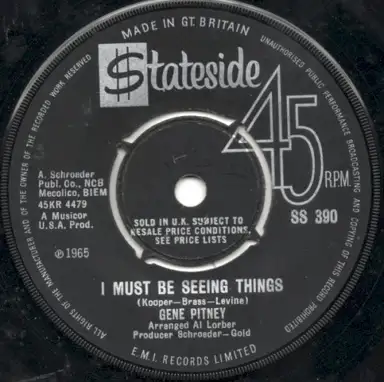 I Must Be Seeing Things