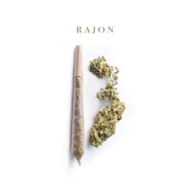 Rajon 13