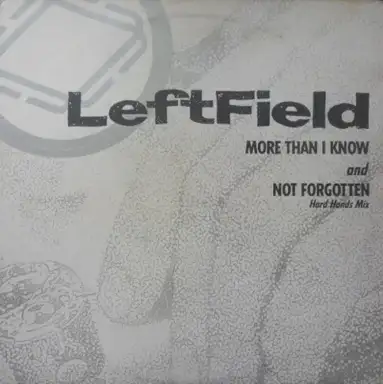 More Than I Know / Not Forgotten