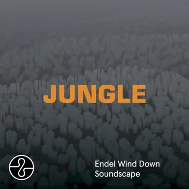 Jungle (Wind Down Soundscape)
